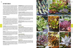 Encyclopédie des plantes d'intérieur