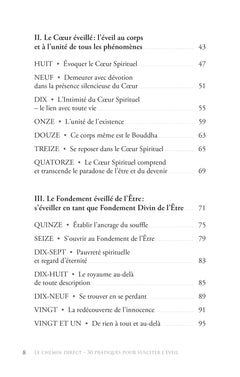 Le chemin direct - 30 pratiques pour susciter l'éveil