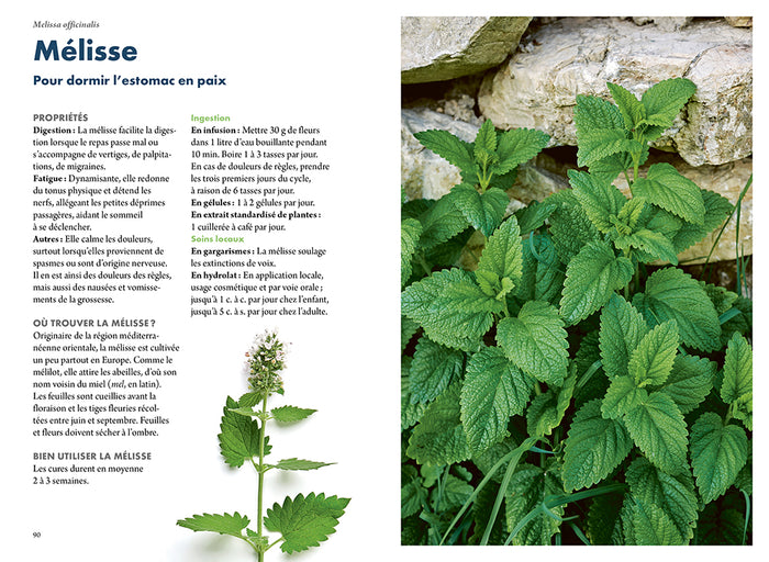 Se soigner par les plantes