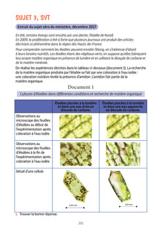 Brevet assuré - Annales - Maths-Sciences - 3e - 2025