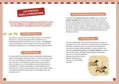 A la découverte des chevaux