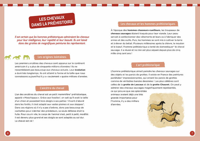 A la découverte des chevaux