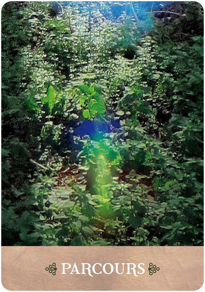 L'oeil de Gaïa - 35 cartes oracle pour vous connecter avec les esprits de la nature