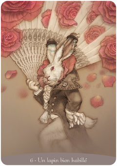 Coffret l'oracle Alice au Pays des merveilles