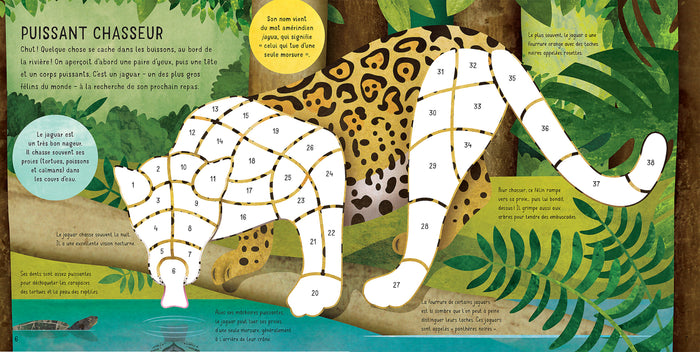 Les animaux de la jungle