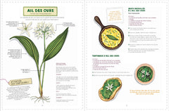 Reconnaître et cuisiner les plantes sauvages