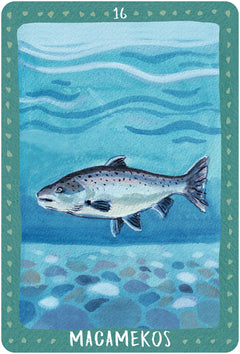 La médecine des animaux