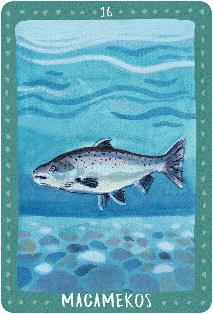 La médecine des animaux