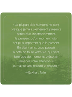 L'Appel du moment présent d'Eckhart Tolle - 52 cartes pour calmer l'esprit et vivre dans l'ici et maintenant