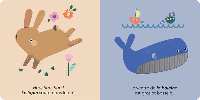 Touche et découvre - Les animaux