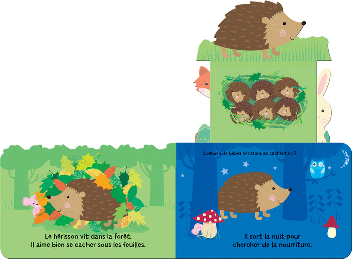 Qui se cache dans la forêt ? Ned