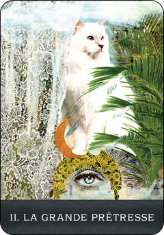 Coffret Le Tarot des chats mystérieux