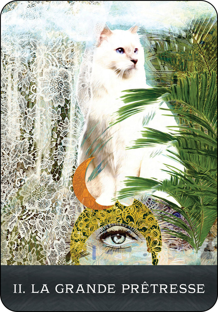 Coffret Le Tarot des chats mystérieux