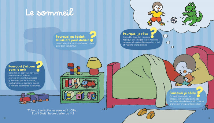 T'choupi Mon grand livre des POURQUOI