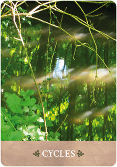 L'oeil de Gaïa - 35 cartes oracle pour vous connecter avec les esprits de la nature