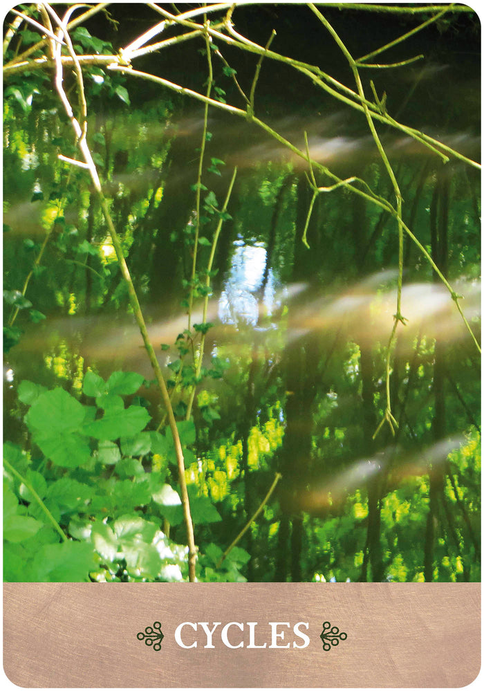 L'oeil de Gaïa - 35 cartes oracle pour vous connecter avec les esprits de la nature