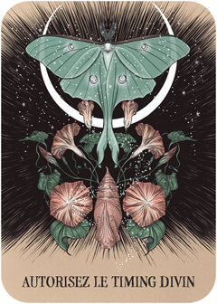Coffret Le Petit oracle de l'amour
