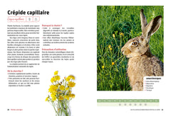 L'assiette nature du lapin heureux - Guide pour une alimentation saine et variée