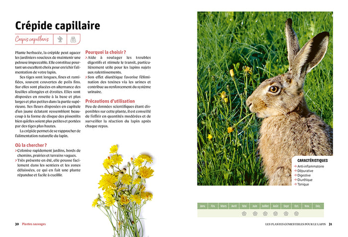 L'assiette nature du lapin heureux - Guide pour une alimentation saine et variée