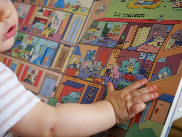 Le grand livre aux 1001 mots