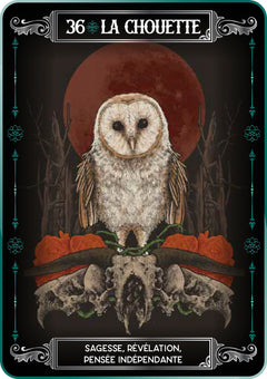 Coffret Earth and Bone - Cartes Oracle