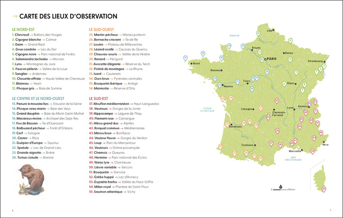 Les plus beaux lieux pour voir la vie sauvage en France