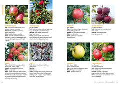Fruitiers nains & colonnaires - Choisir et cultiver pommiers, poiriers, abricotiers, pruniers... 140 variétés pour balcons et petits jardins
