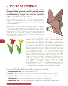 Origamis et pliages