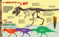 T-Rex - Construis ton dinosaure géant en 3D