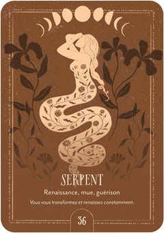 Coffret Oracle du chant de la terre