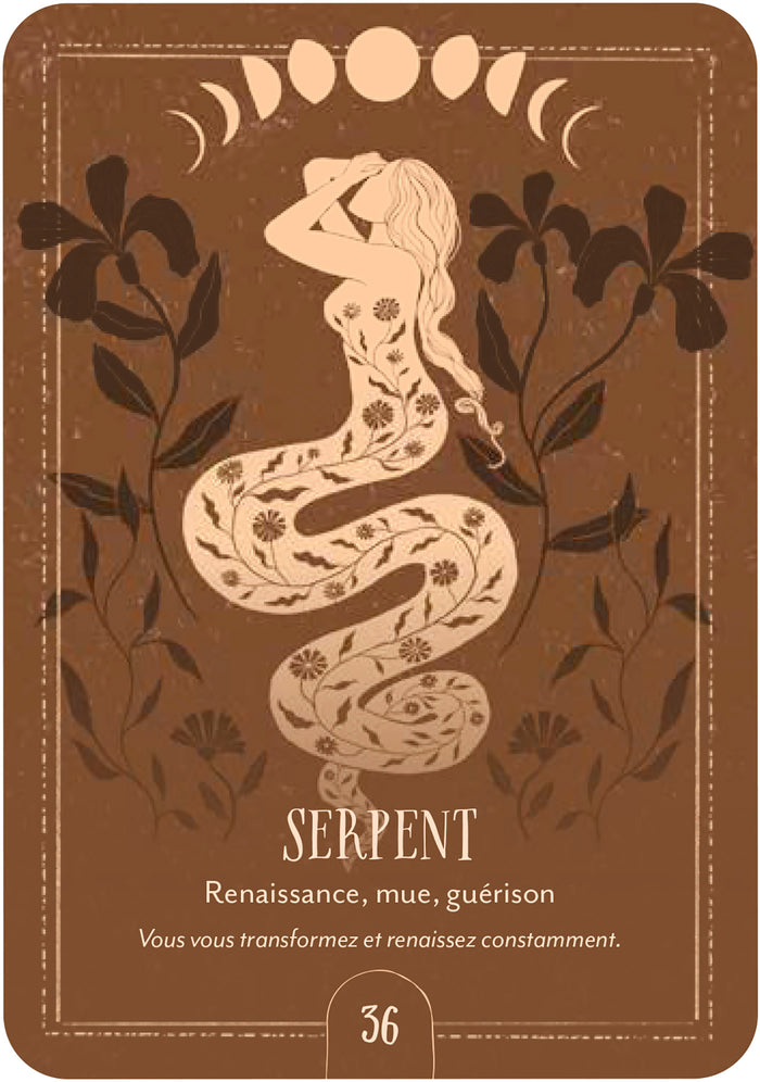 Coffret Oracle du chant de la terre