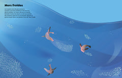 Les requins - Mes super autocollants