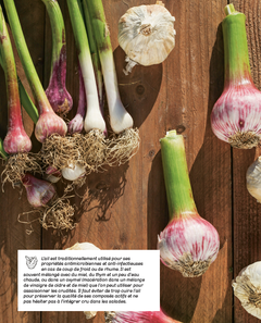 La bonne cuisine des légumes: l'abécédaire du légume quotidien