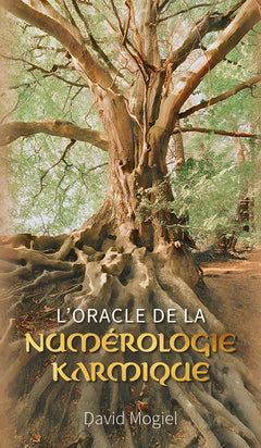 L'Oracle de la numérologie karmique