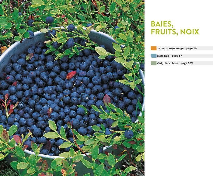 Plantes sauvages comestibles et toxiques