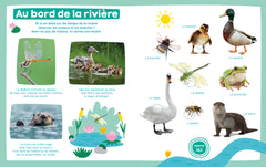 Mon imagier sonore - Les animaux