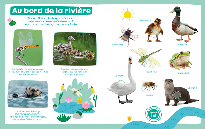 Mon imagier sonore - Les animaux