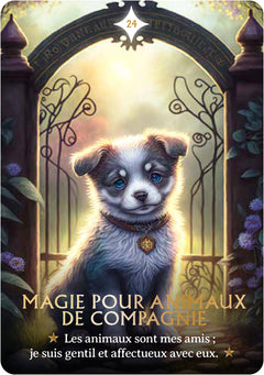Coffret l'oracle des souhaits