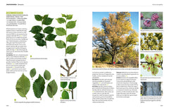 Dictionnaire visuel des arbres et arbustes communs