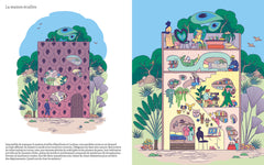 Les maisons folles de monsieur Anatole