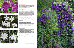 Toutes les plantes grimpantes