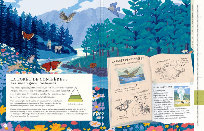 Il y a une montagne dans ce livre