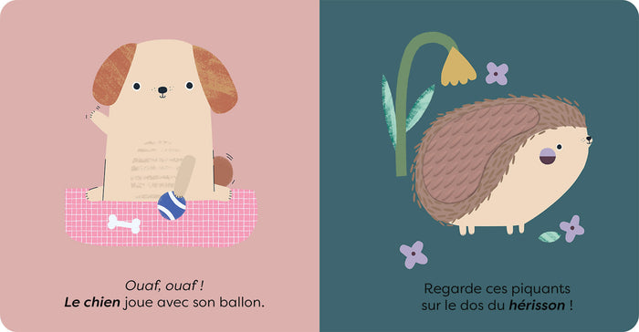 Touche et découvre - Les animaux