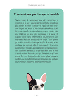 Soigner son chien grâce à ses chakras - Soins énergétiques pour un chien heureux et en bonne santé