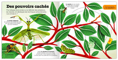 Les insectes