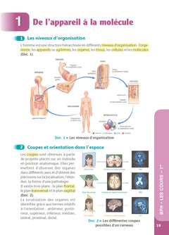 Guide bac ST2S - Spécialité Chimie, Biologie et Physiopathologie humaines 1re/ Tle - Réflexe - N° 7