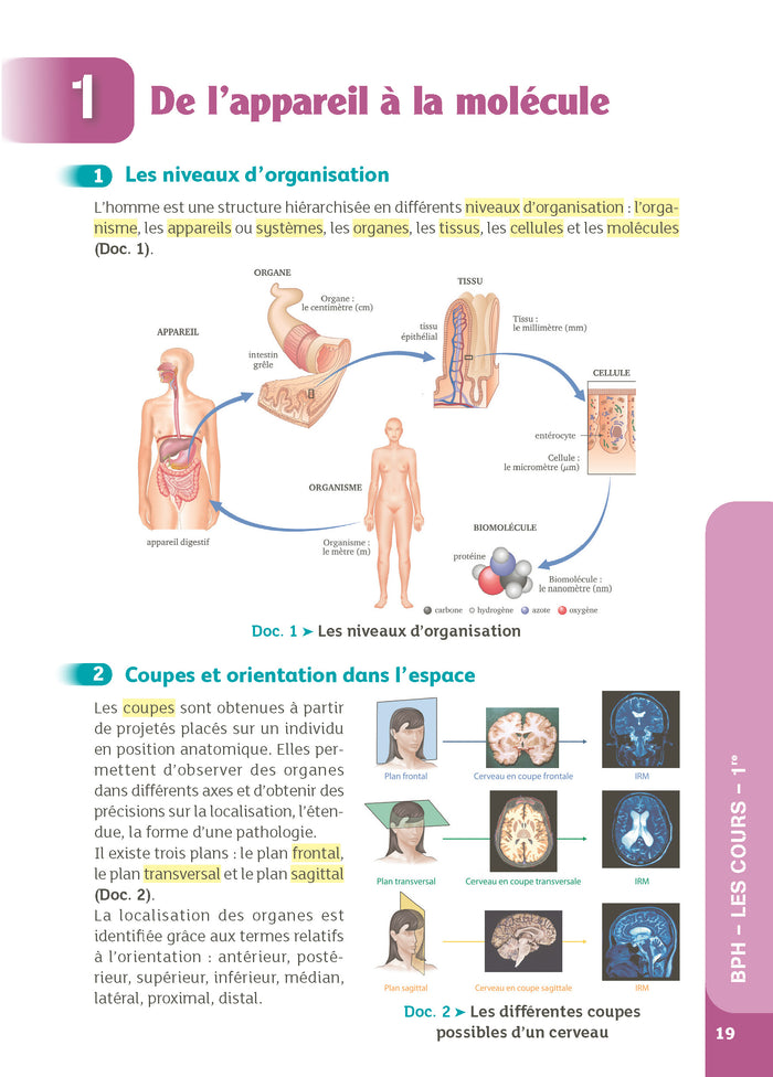 Guide bac ST2S - Spécialité Chimie, Biologie et Physiopathologie humaines 1re/ Tle - Réflexe - N° 7