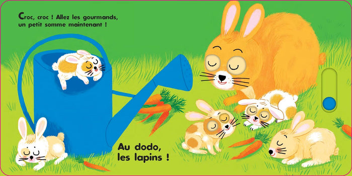 Au dodo - les amis de la ferme