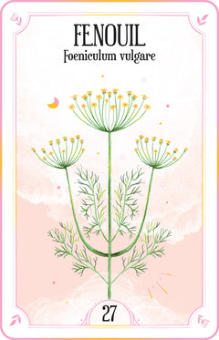 Le coffret des plantes