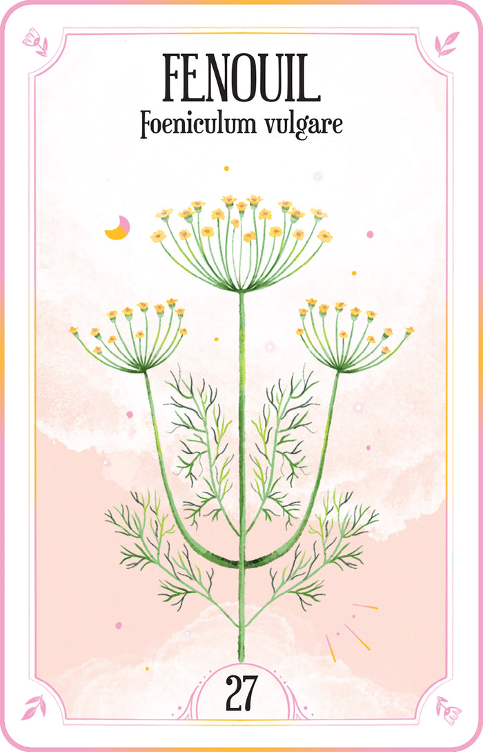 Le coffret des plantes